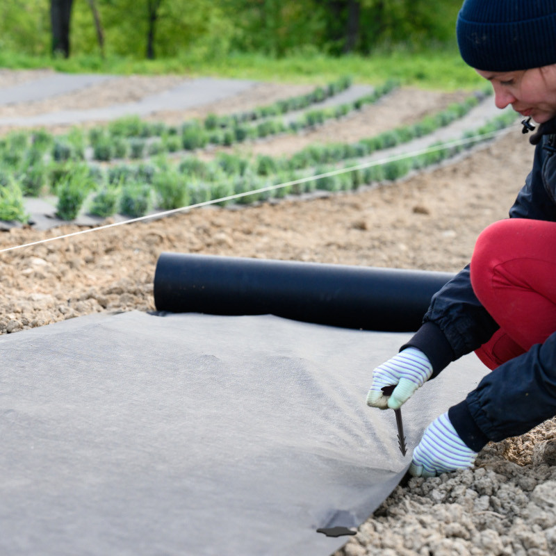 Kotwa gruntowa, mocująca do obrzeży Sillar 12 cm, tworzywo sztuczne - 100 szt. Kotwa gruntowa, mocująca do obrzeży Sillar 12 cm, tworzywo sztuczne - 100 szt.