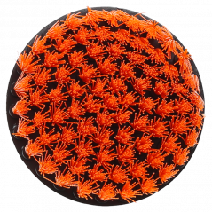 Zestaw gąbek, padów i szczotek Sillar montowanych na wiertarkę lub wkrętarkę 23 elementy