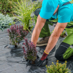 Agrowłóknina czarna Sillar 90g/m2 1x10m