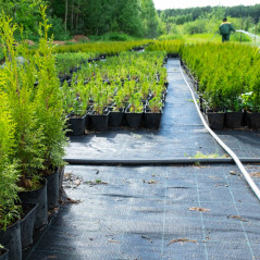 Agrowłóknina czarna Sillar 90g/m2 2x10m