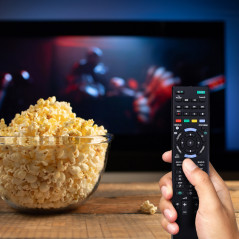 Pilot do telewizora kompatybilny z Sony, zamiennik RM-ED047