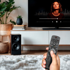 Pilot do telewizora, zamiennik Philips Led Smart 398GR8BD1NEPHH RM-L1225