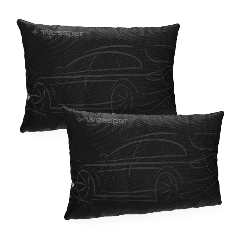 Pochłaniacz wilgoci Wessper AquaDryer Car do samochodu 2x300 g