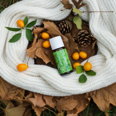 Naturalny olejek eteryczny melisa Aromatum 12 ml