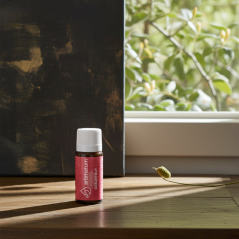 Naturalny olejek eteryczny grejpfrut Aromatum 12 ml