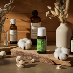 Naturalny olejek eteryczny rozmaryn Aromatum 12 ml