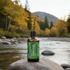 Naturalny olejek eteryczny eukaliptus Aromatum 100 ml