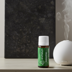 Naturalny olejek eteryczny eukaliptus Aromatum 12 ml