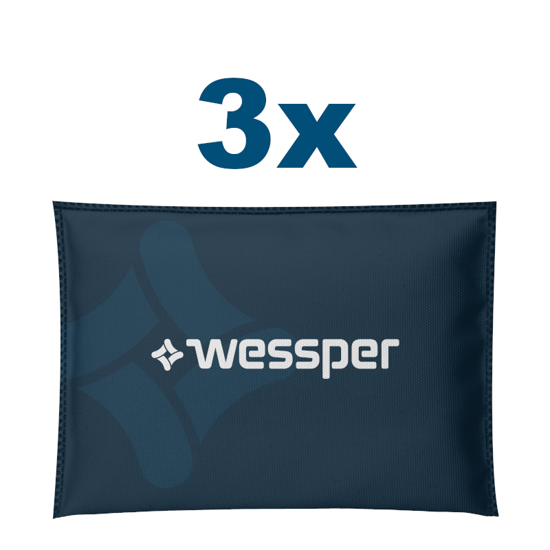 Pochłaniacz wilgoci Wessper AquaDryer do samochodu 3x300 g