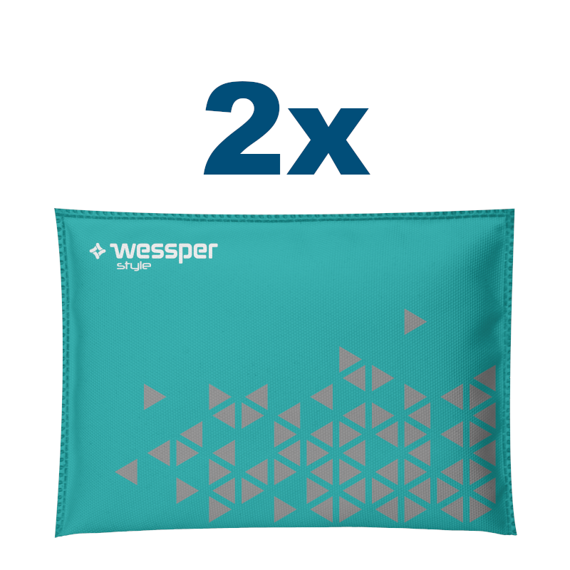Pochłaniacz wilgoci Wessper AquaDryer Style do samochodu 2x300 g
