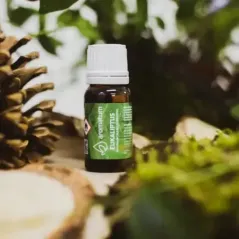  Olejek eteryczny o zapachu eukaliptusa Aromatum 12 ml