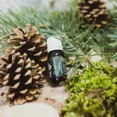  Olejek eteryczny o zapachu sosnowym Aromatum 12 ml