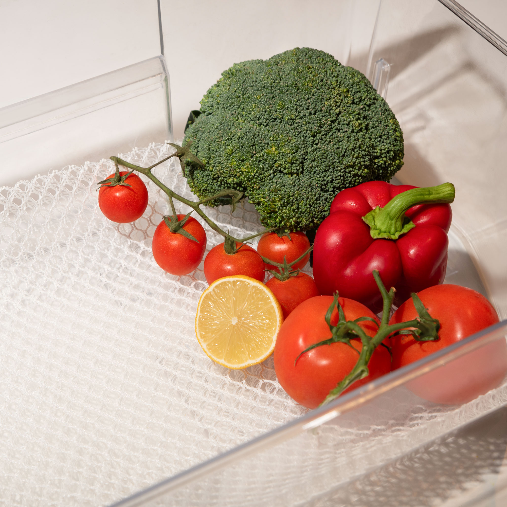 Mata antypleśniowa do szuflad w lodówkach