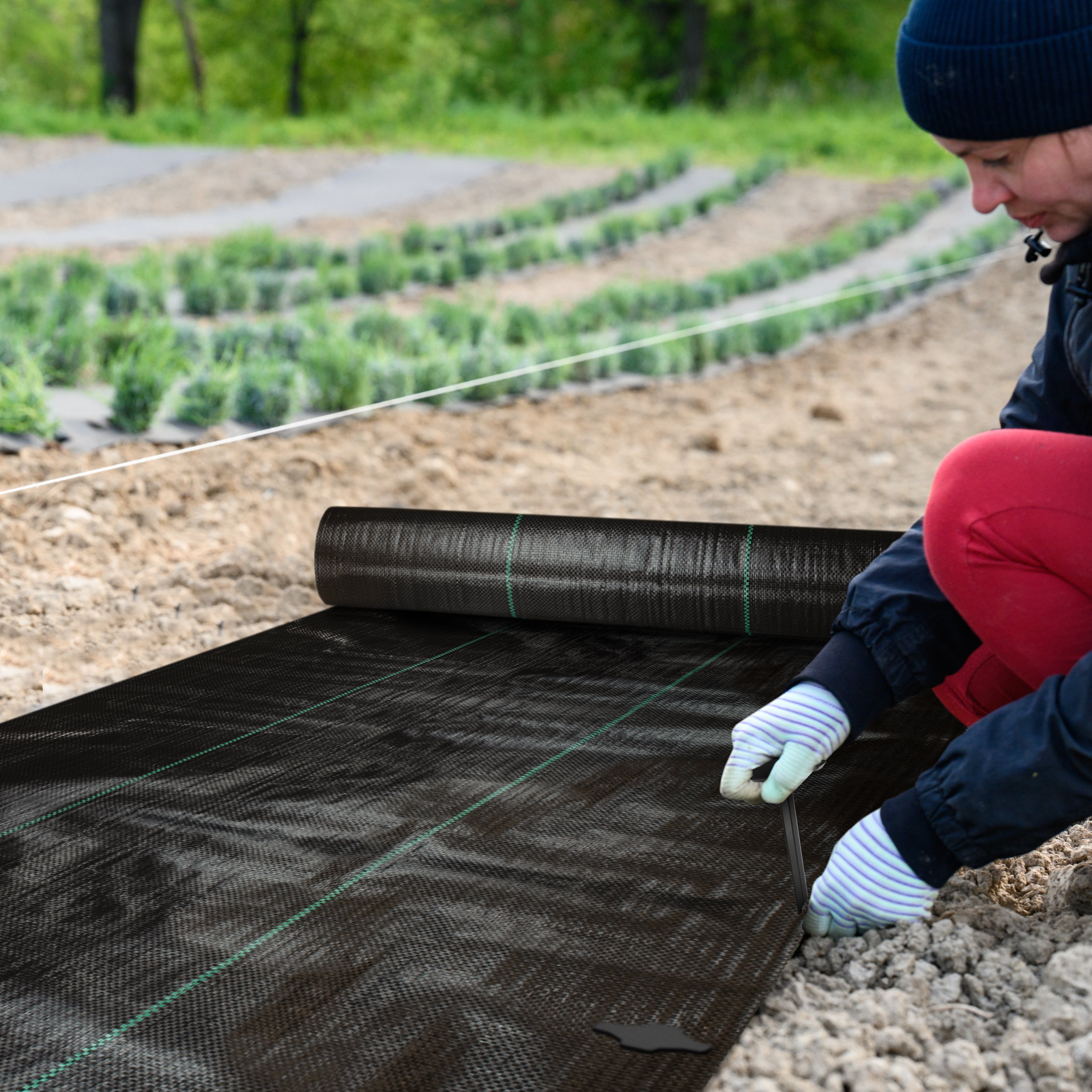 Agrowłóknina (agrotkanina) czarna Sillar 90g/m2 2x25m