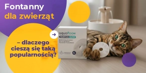Fontanny dla zwierząt – dlaczego cieszą się taką popularnością? 