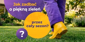 Pielęgnacja trawnika – jak zadbać o piękną zieleń przez cały sezon? 