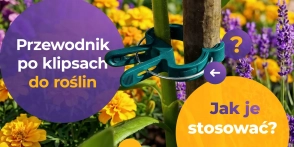 Klipsy do roślin – praktyczne porady jak je stosować w uprawie warzyw i kwiatów
