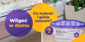 Pochłaniacz wilgoci – jak działa, gdzie ustawić i który wybrać?
