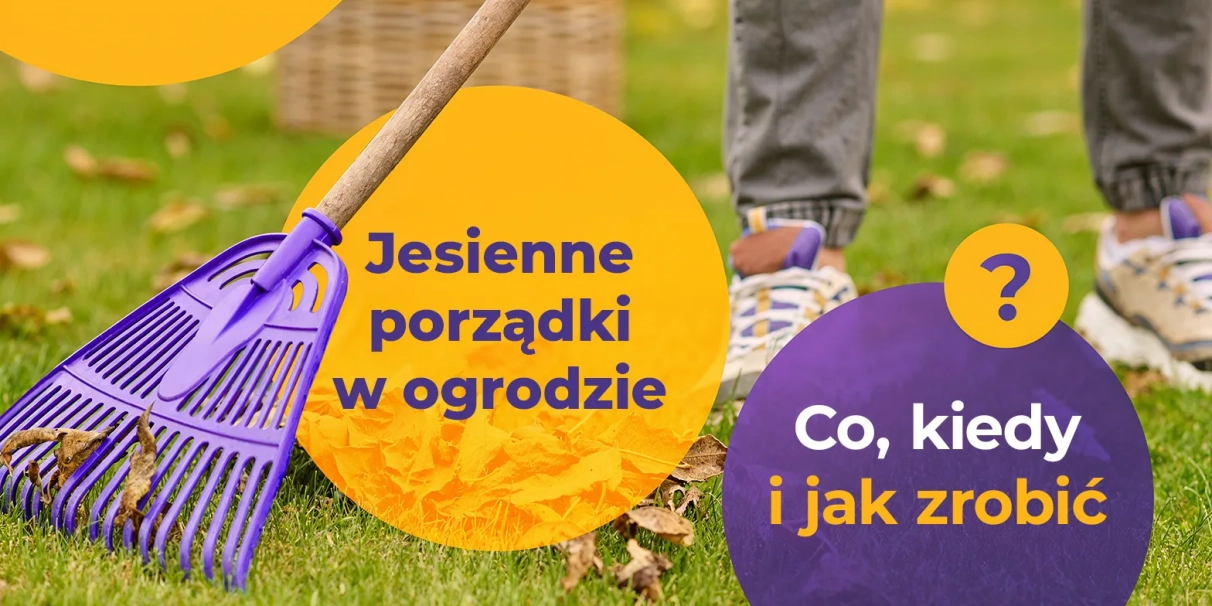 Jesienne porządki w ogrodzie – kiedy i jak je zrobić?