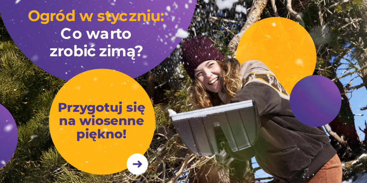 Ogród w styczniu - jakie prace warto wykonać zimą?