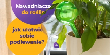 Nawadniacze do roślin – jak ułatwić sobie podlewanie? 
