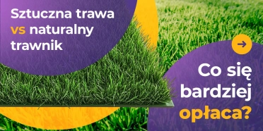 Sztuczna trawa vs naturalny trawnik – co się bardziej opłaca?