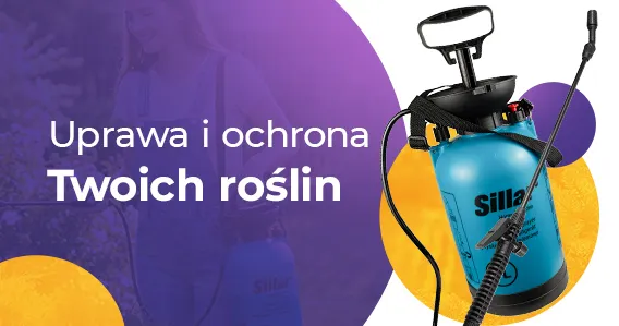 Baner ofertowy